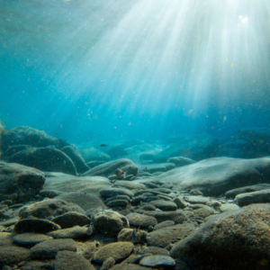 Technical Session on Underwater Radiated Noise from Marine Platforms